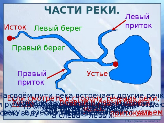 Как называется углубление в котором протекает река