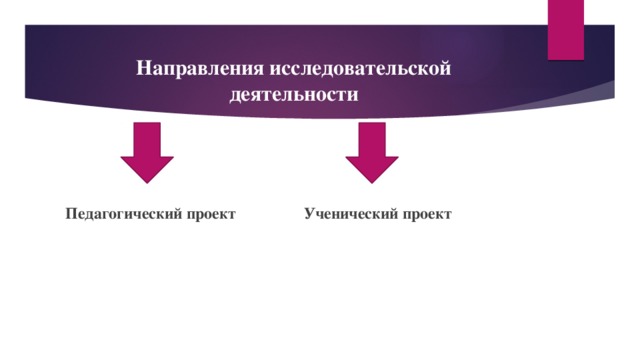 Направления исследовательского проекта