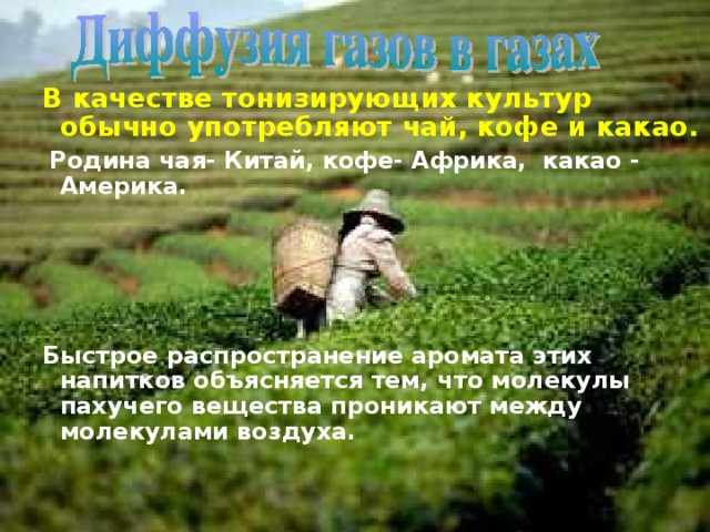 В качестве тонизирующих культур обычно употребляют чай, кофе и какао.  Родина чая- Китай,  кофе- Африка,  какао - Америка.     Быстрое распространение аромата этих напитков объясняется тем, что молекулы пахучего вещества проникают между молекулами воздуха. 