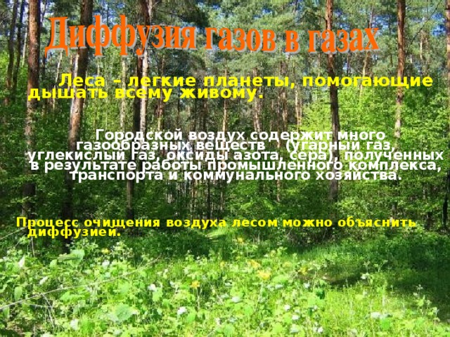  Леса – легкие планеты, помогающие дышать всему живому.    Городской воздух содержит много газообразных веществ (угарный газ, углекислый газ, оксиды азота, сера), полученных в результате работы промышленного комплекса, транспорта и коммунального хозяйства.     Процесс очищения воздуха лесом можно объяснить диффузией. 
