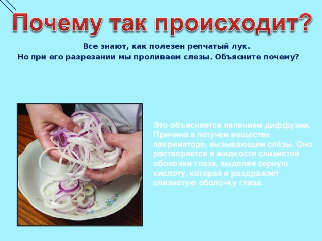 Все знают, как полезен репчатый лук.  Но при его разрезании мы проливаем слезы. Объясните почему? Это объясняется явлением диффузии.  Причина в летучем веществе лакриматоре, вызывающем слёзы. Оно растворяется в жидкости слизистой оболочки глаза, выделяя серную кислоту, которая и раздражает слизистую оболочку глаза. 