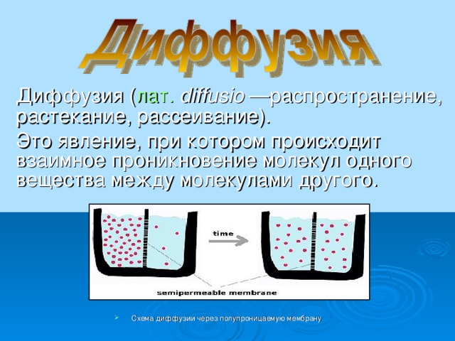 Диффузия ( лат.   diffusio —распространение, растекание, рассеивание). Это явление, при котором происходит взаимное проникновение молекул одного вещества между молекулами другого. Схема диффузии через полупроницаемую мембрану 