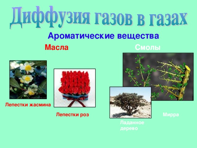 Ароматические вещества Масла Смолы Лепестки жасмина Лепестки роз Мирра Ладанное дерево 