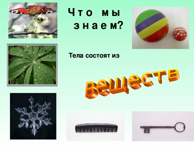 Ч т о м ы  з н а е м? Тела состоят из 