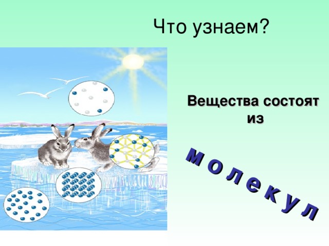 м о л е к у л Вещества состоят  из 