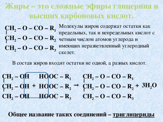 Жиры – это сложные эфиры глицерина и высших карбоновых кислот. Молекулы жиров содержат остатки как предельных, так и непредельных кислот с четным числом атомов углерода и имеющих неразветвленный углеродный скелет. СН 2 – О – СО – R 1 СН 2 – О – СО – R 2 СН 2 – О – СО – R 3 В состав жиров входят остатки не одной, а разных кислот. СН 2 – ОН НООС – R 1 СН 2 – О – СО – R 1 СН 2 – ОН НООС – R 2 СН 2 – О – СО – R 2 НООС – R 3 СН 2 – ОН СН 2 – О – СО – R 3 + 3Н 2 О → + Общее название таких соединений – триглицериды  