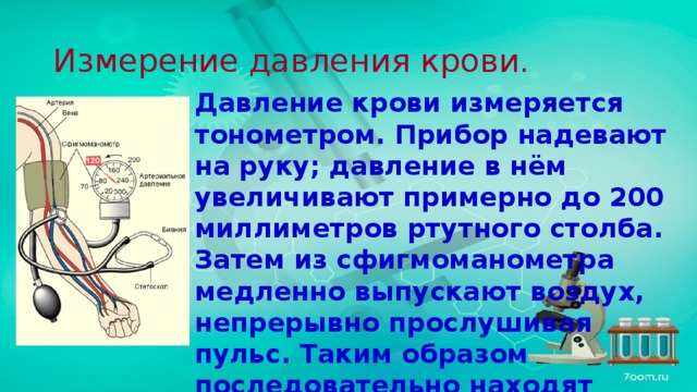 Артериальное давление презентация