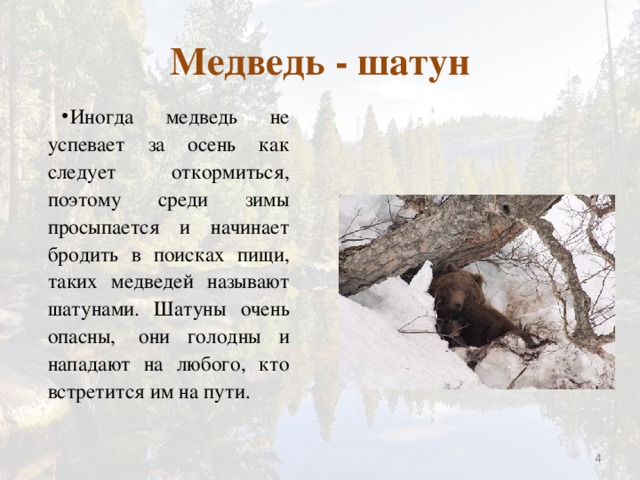 Сочинение по картине пробуждение от спячки 5 класс