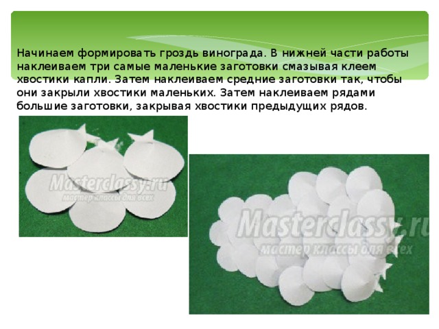 Начинаем формировать гроздь винограда. В нижней части работы наклеиваем три самые маленькие заготовки смазывая клеем хвостики капли. Затем наклеиваем средние заготовки так, чтобы они закрыли хвостики маленьких. Затем наклеиваем рядами большие заготовки, закрывая хвостики предыдущих рядов. 