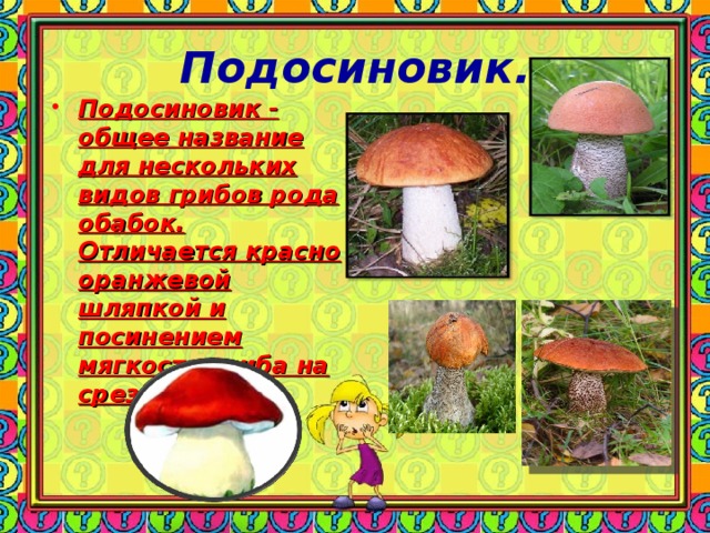 Подосиновик. Подосиновик - общее название для нескольких видов грибов рода обабок. Отличается красно оранжевой шляпкой и посинением мягкости гриба на срезе .  