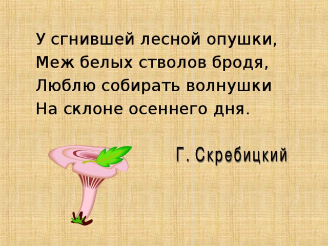 Люблю собирать. Люблю собирать волнушки на склоне осеннего дня. Люблю собирать волнушки на склоне осеннего. У сгнившей Лесной. Рубцов люблю собирать волнушки.