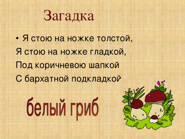 Стой толстой. Загадки на я. Я стою на ножке толстой я стою на ножке гладкой.