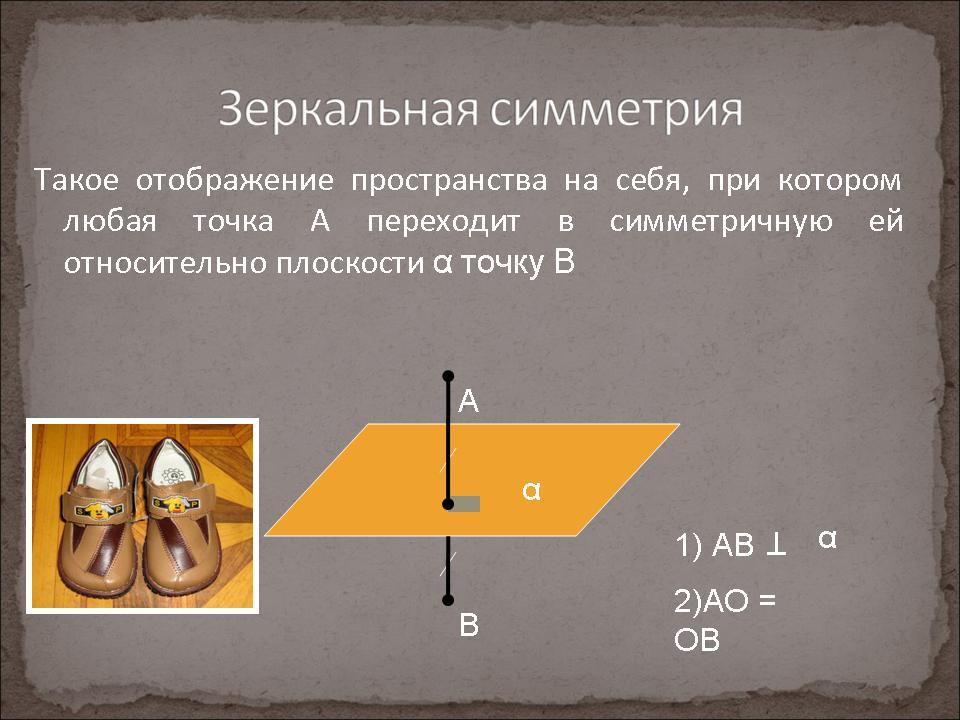 Проект зеркальная симметрия в нашей жизни