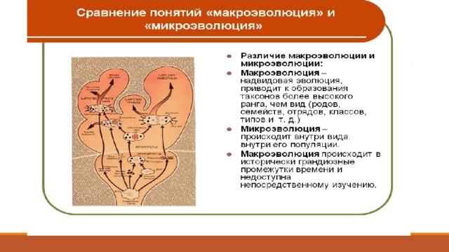 Факторы микроэволюции и макроэволюции