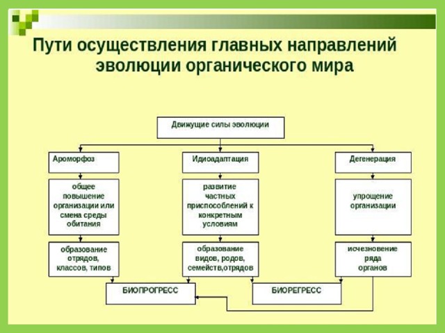 Презентация на тему дисплей их эволюция направления развития