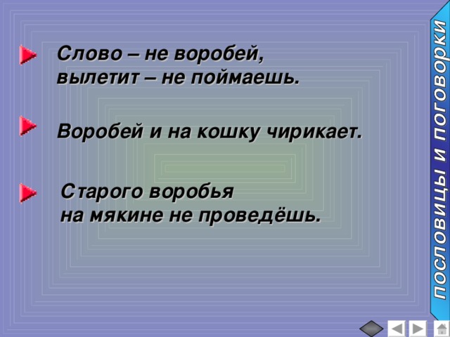 Текст старый воробей. Пословица Воробей и на кошку чирикает. Слово не Воробей вылетит не поймаешь.