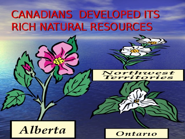 CANADIANS DEVELOPED ITS RICH NATURAL RESOURCES 