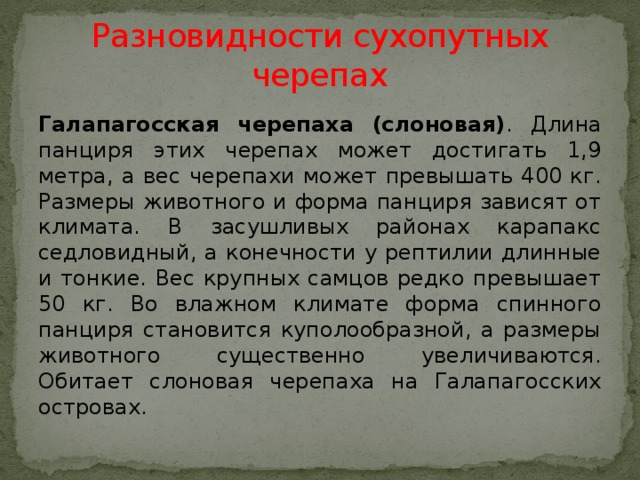 Разновидности сухопутных черепах Галапагосская черепаха (слоновая) . Длина панциря этих черепах может достигать 1,9 метра, а вес черепахи может превышать 400 кг. Размеры животного и форма панциря зависят от климата. В засушливых районах карапакс седловидный, а конечности у рептилии длинные и тонкие. Вес крупных самцов редко превышает 50 кг. Во влажном климате форма спинного панциря становится куполообразной, а размеры животного существенно увеличиваются. Обитает слоновая черепаха на Галапагосских островах. 