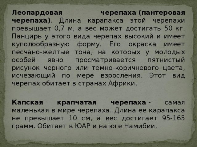 Леопардовая черепаха   (пантеровая черепаха) . Длина карапакса этой черепахи превышает 0,7 м, а вес может достигать 50 кг. Панцирь у этого вида черепах высокий и имеет куполообразную форму. Его окраска имеет песчано-желтые тона, на которых у молодых особей явно просматривается пятнистый рисунок черного или темно-коричневого цвета, исчезающий по мере взросления. Этот вид черепах обитает в странах Африки. Капская крапчатая черепаха  - самая маленькая в мире черепаха. Длина ее карапакса не превышает 10 см, а вес достигает 95-165 грамм. Обитает в ЮАР и на юге Намибии. 