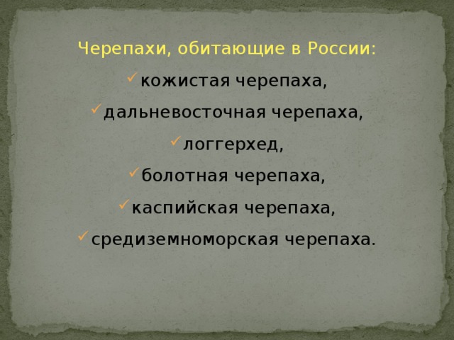 Черепахи, обитающие в России: кожистая черепаха, дальневосточная черепаха, логгерхед, болотная черепаха, каспийская черепаха, средиземноморская черепаха. 