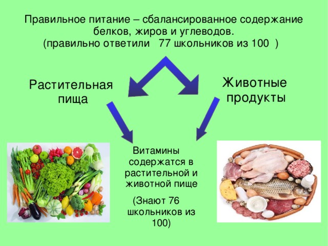 Изучить питание