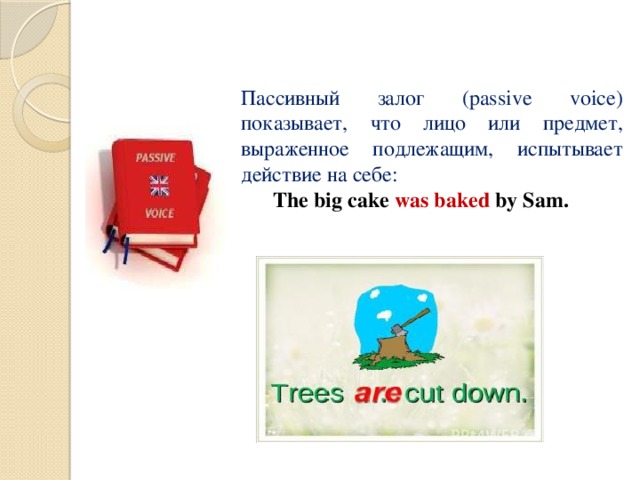 Пассивный залог (passive voice) показывает, что лицо или предмет, выраженное подлежащим, испытывает действие на себе:  The big cake was baked by Sam. 