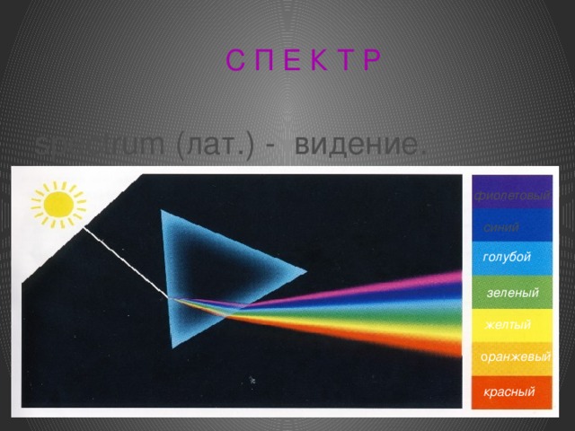 С П Е К Т Р   spectrum (лат.) - видение.  фиолетовый синий голубой  Вводим определение спектра, рассматриваем основные цвета и порядок их расположения в спектре зеленый желтый о ранжевый красный  