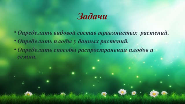 Задачи Определить видовой состав травянистых растений. Определить плоды у данных растений. Определить способы распространения плодов и семян. 