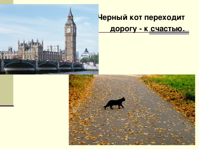 Черный кот переходит дорогу - к счастью.