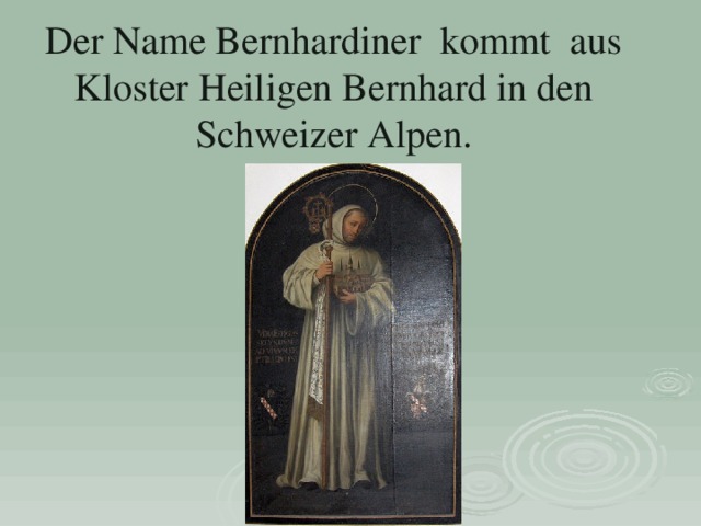 Der Name Bernhardiner kommt aus Kloster Heiligen Bernhard in den Schweizer Alpen. 