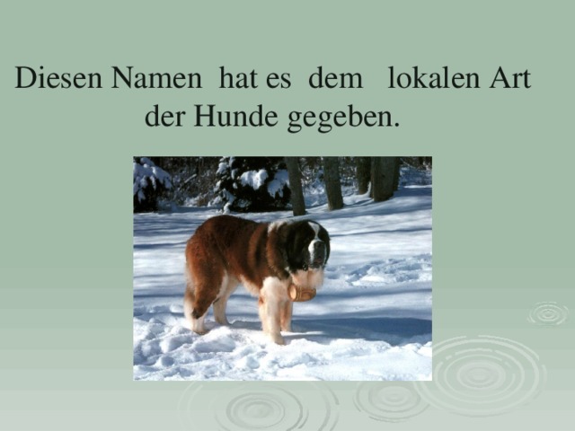 Diesen Namen hat es dem lokalen Art der Hunde gegeben. 