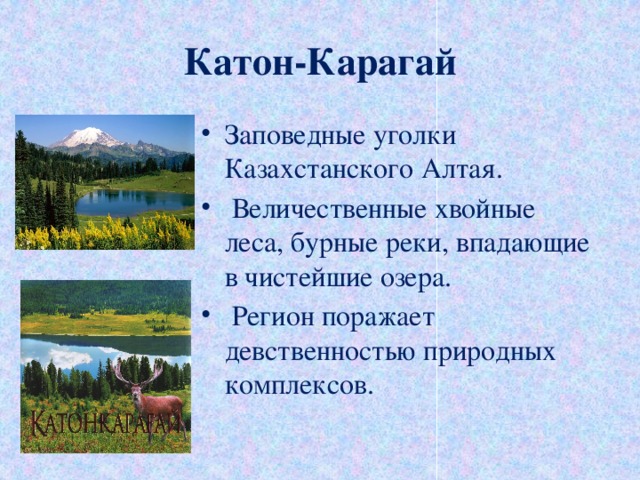 Катон карагай карта