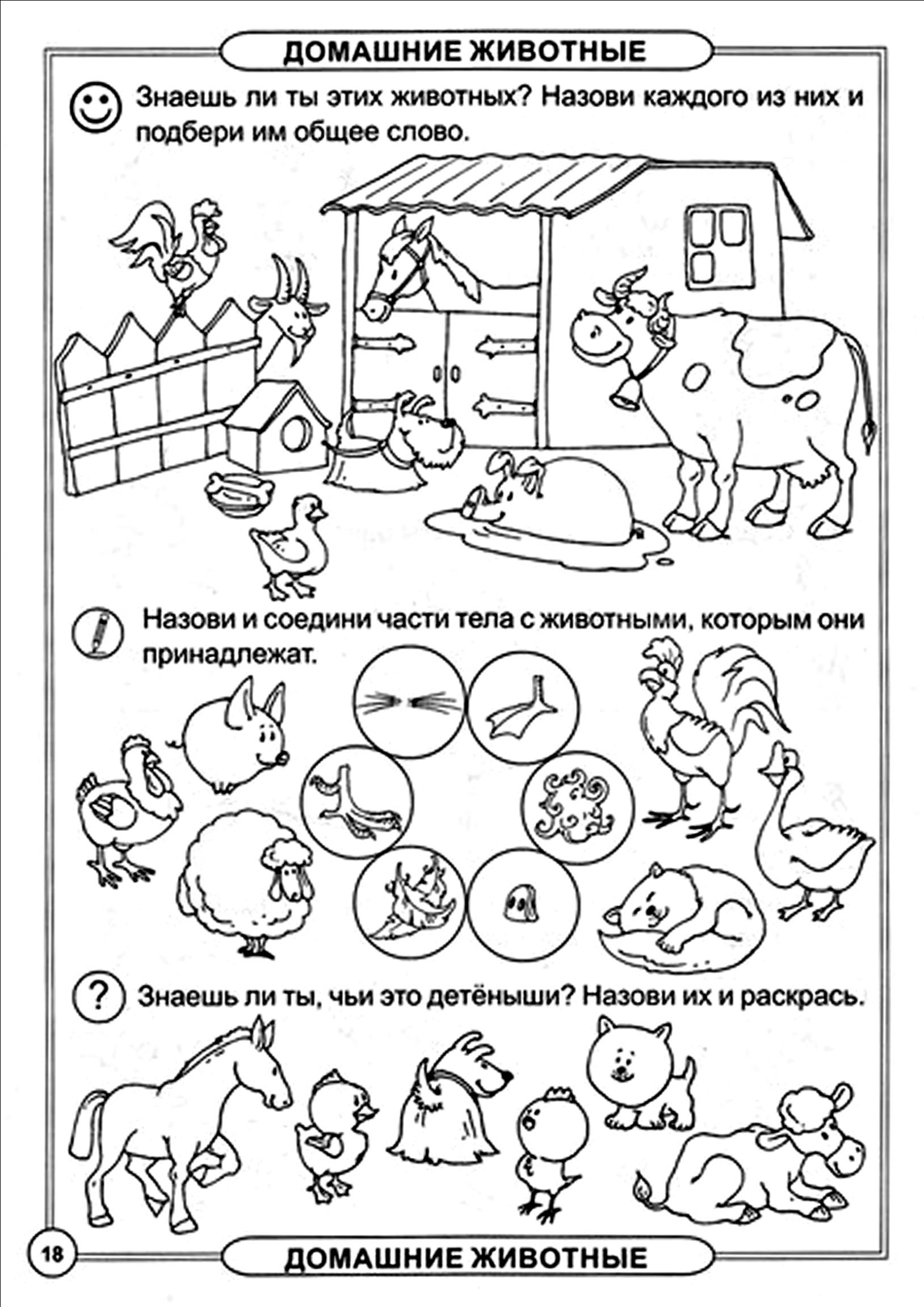Домашние задания возраст. Домашние животные задания для дошкольников 6-7 лет. Домашние животные задания для детей. Домашние животныехадания. Домашнее животные задания для дошкольников.