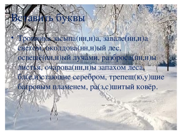 Вставить буквы Тропинка засыпа(нн,н)а, завале(нн,н)а снегом, околдова(нн,н)ый лес, освещё(нн,н)ый лучами, разброса(нн,н)ы листья, очарова(нн,н)ы запахом леса, бл(е,и)стающие серебром, трепещ(ю,у)щие багровым пламенем, ра(з,с)шитый ковёр.  