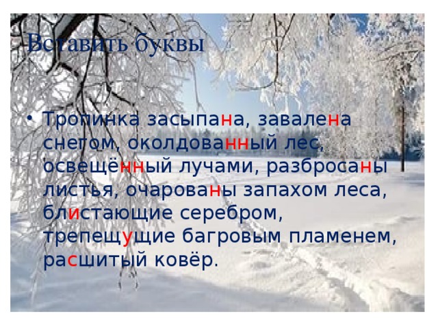 Вставить буквы Тропинка засыпа н а, завале н а снегом, околдова нн ый лес, освещё нн ый лучами, разброса н ы листья, очарова н ы запахом леса, бл и стающие серебром, трепещ у щие багровым пламенем, ра с шитый ковёр.  