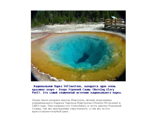   Национальном Парке Yellowstone, находится одно очень красивое озеро - Озеро Утренней Славы (Morning Glory Pool). Это самый знаменитый источник национального парка.  Озеро было названо миссис Макгоуэн, женой помощника управляющего Парком Чарльза Макгоуэна (Charles McGowan) в 1883 году. Она назвала его Convolutus, в честь цветка Утренней Славы, так же причудливо скрученного, а так же за его крисстально-голубой цвет. 