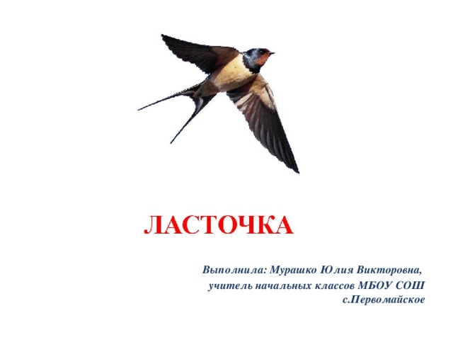 Выполнила: Мурашко Юлия Викторовна, учитель начальных классов МБОУ СОШ с.Первомайское 