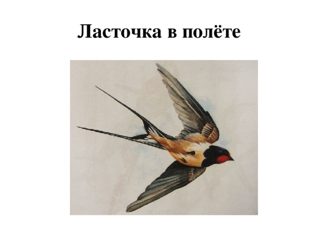 Ласточка в полёте 