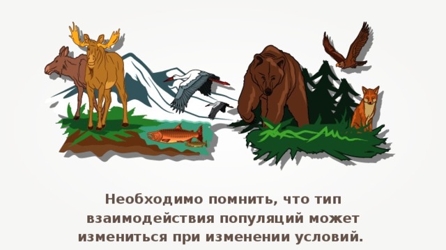 Презентация структура популяций типы взаимодействия популяций разных видов