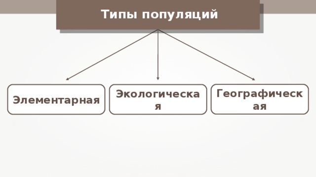 Взаимодействие популяций разных видов презентация 11 класс