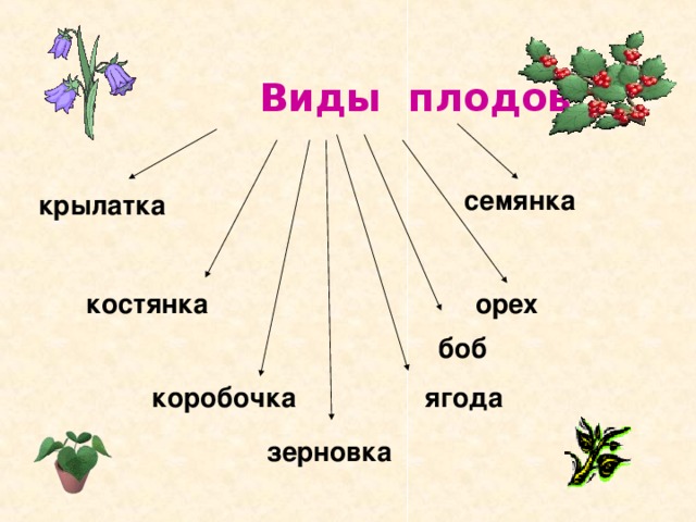 Тайны растений 1 класс презентация