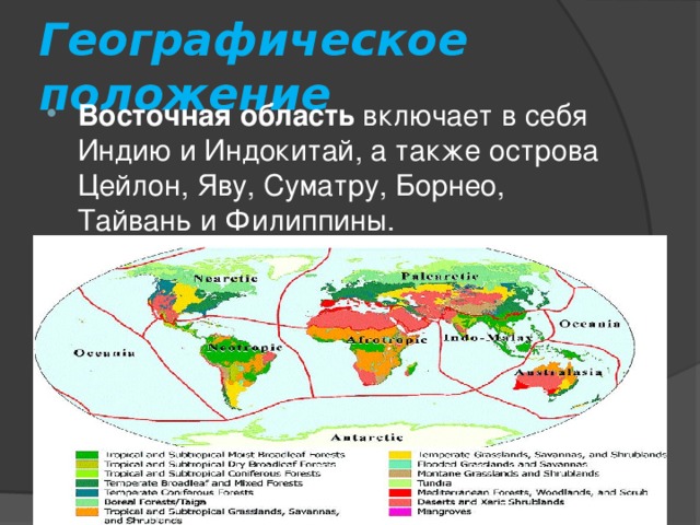 Восточная область биология 11 класс презентация