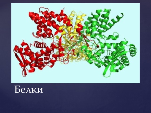 Белки урок химии 10 класс презентация
