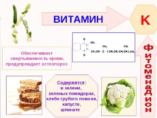 Витамин к 2 в каких продуктах. Продукты содержащие витамин к2 в большом количестве таблица. В каких продуктах есть витамин к2. Витамин к2 в каких продуктах содержится таблица. Витамин к2 в каких продуктах содержится.