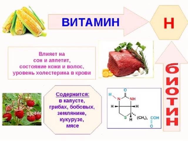 Витамин h презентация