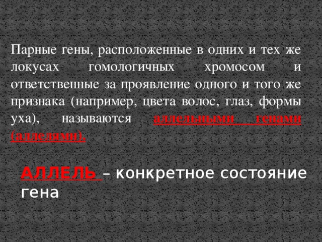 Парные гены, расположенные в одних и тех же локусах гомологичных хромосом и ответственные за проявление одного и того же признака (например, цвета волос, глаз, формы уха), называются аллельными генами (аллелями). АЛЛЕЛЬ – конкретное состояние гена 