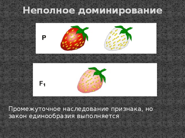 Неполное доминирование   Промежуточное наследование признака, но закон единообразия выполняется 