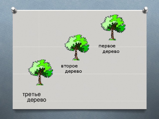 Деревья 3 метра