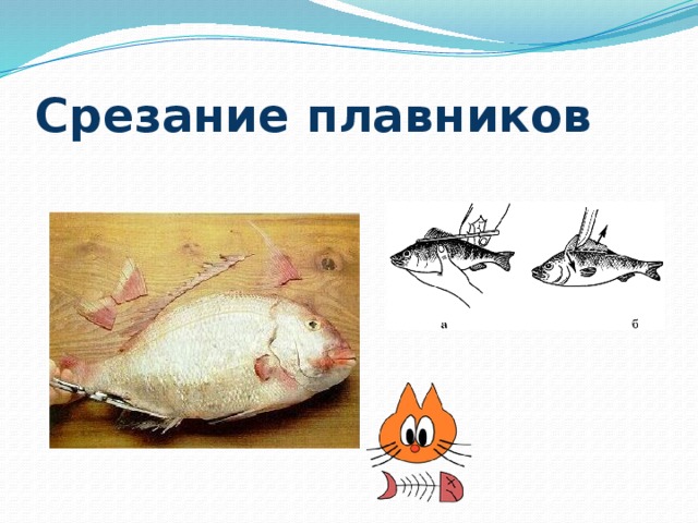 Тест обработка рыбы. Проект технологии обработки рыбы 6 класс.