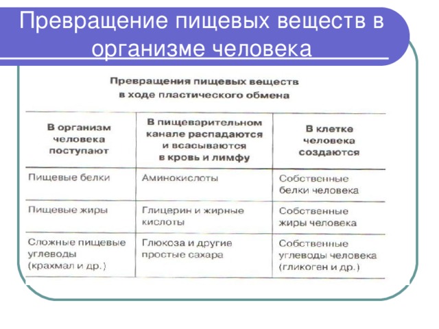 Правильный порядок преобразования жидкостей. Схема превращения основных пищевых веществ. Функции питательных веществ 8 класс схема. Таблица превращение веществ в организме.